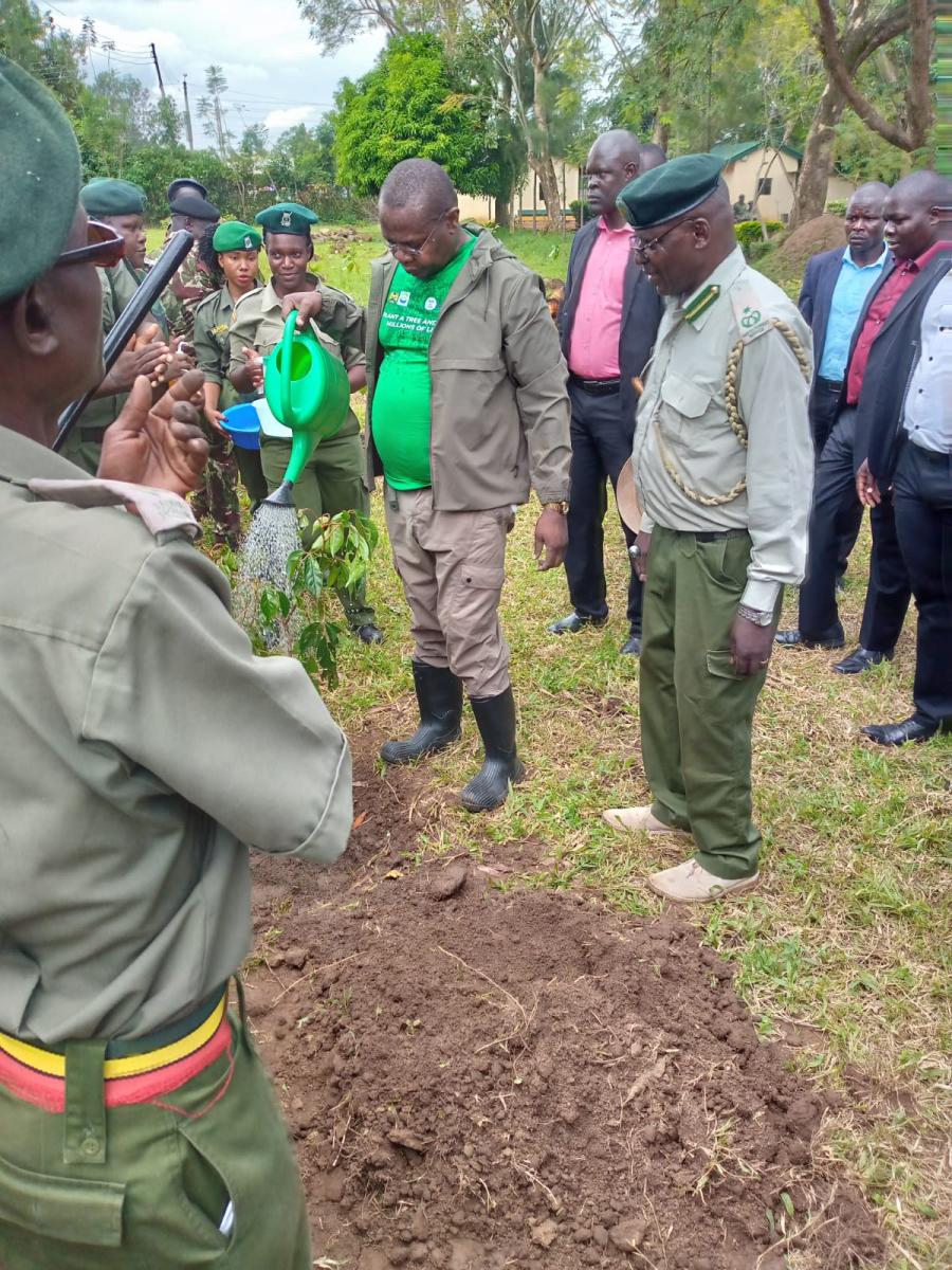 Busia governor plants a tree during this event