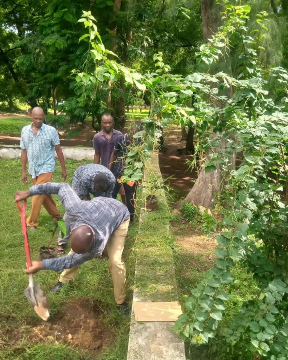 Towards 15 Billion Trees by 2032.