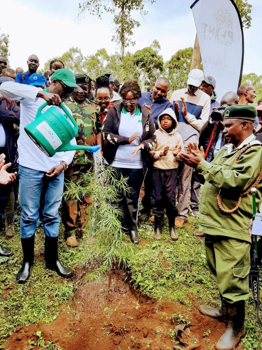 https://mfa.go.ke/foreign-affairs-staff-plant-trees-at-uplands-forest-in-lari/