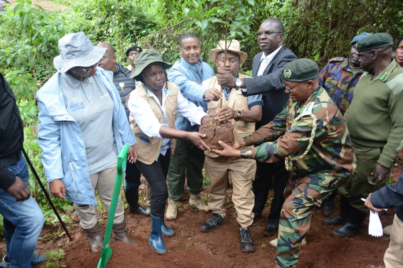 Towards 15 Billion Trees by 2032.