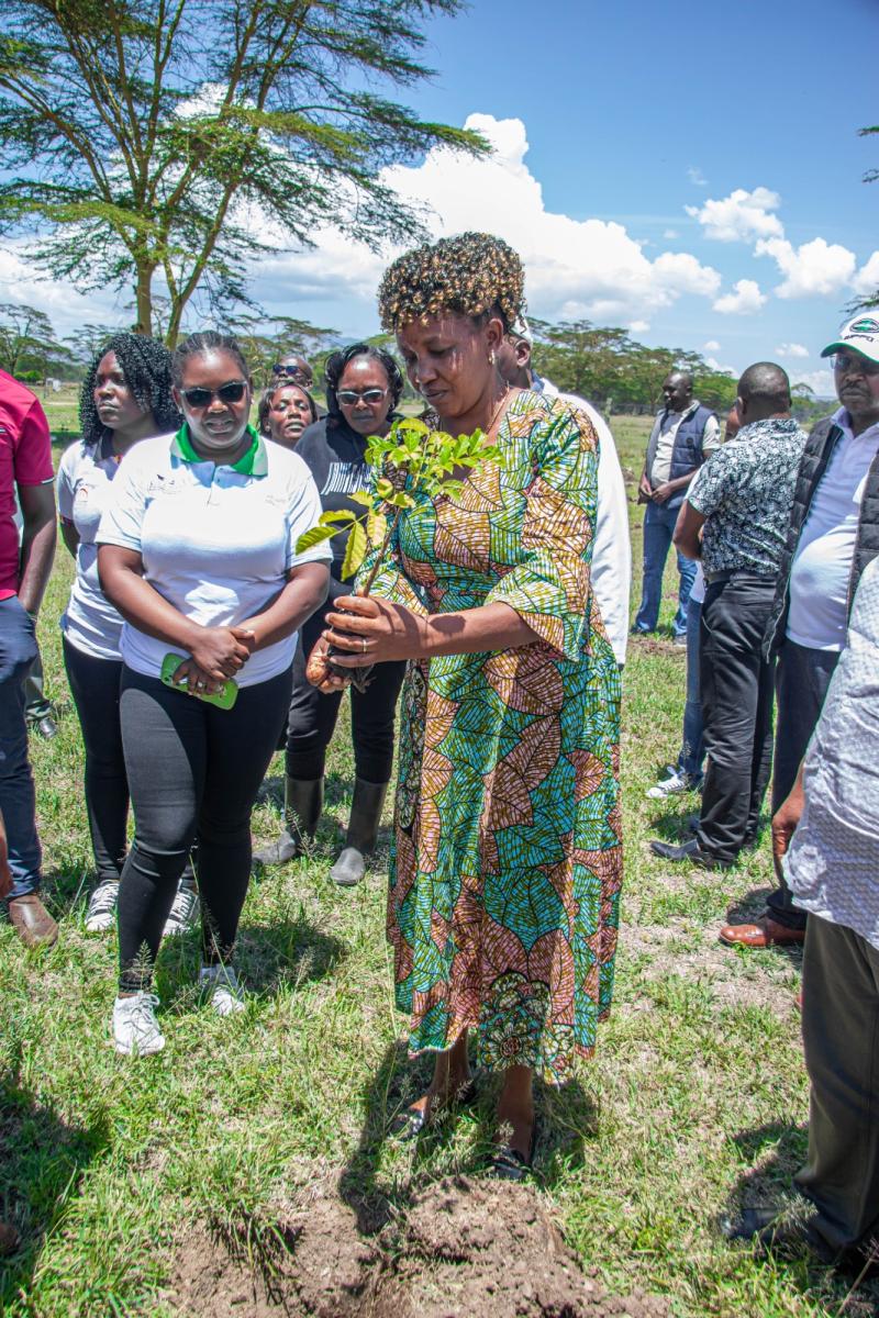 Kenya Agricultural and Livestock Research Organization