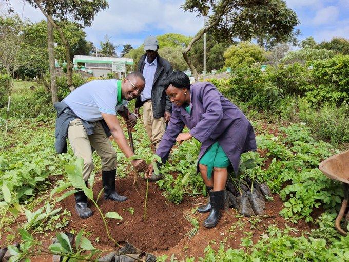 Towards 15 Billion Trees by 2032.