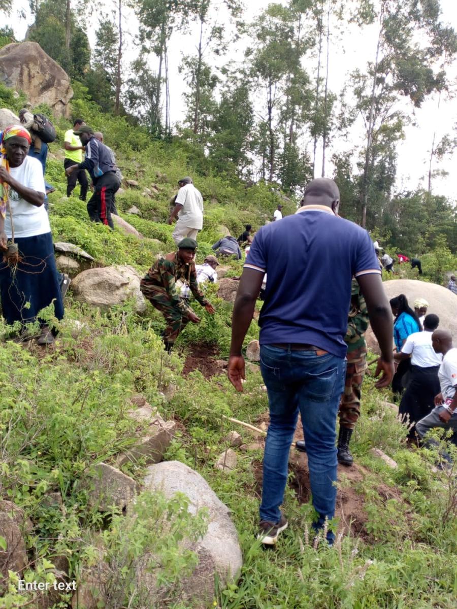 Towards 15 Billion Trees by 2032.