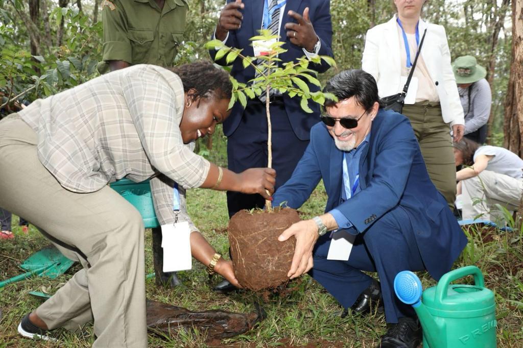 Towards 15 Billion Trees by 2032.