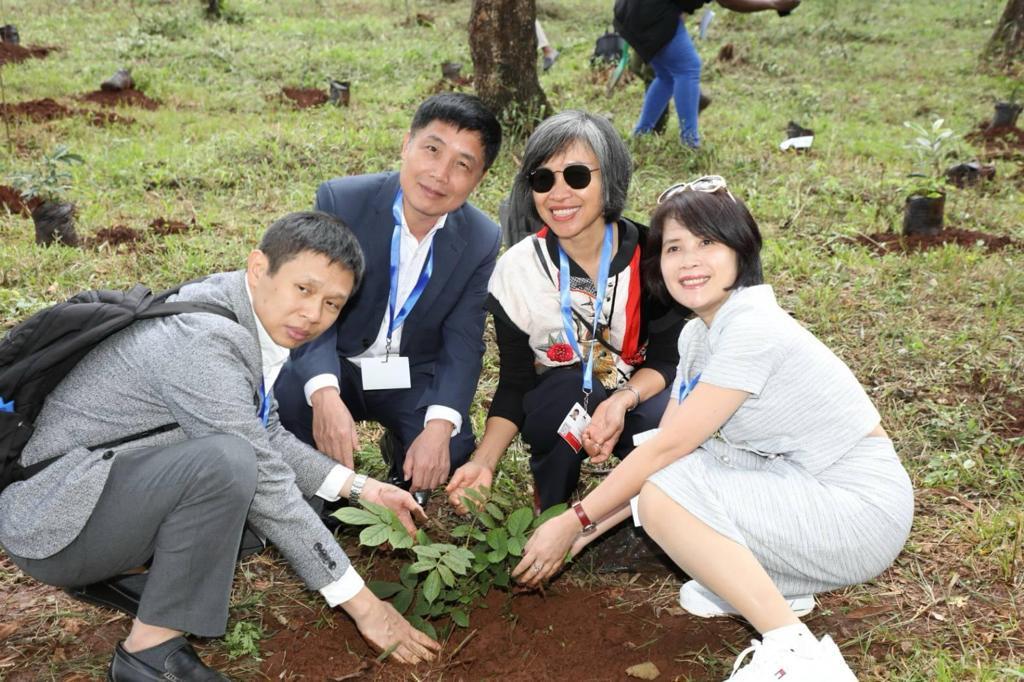 Towards 15 Billion Trees by 2032.