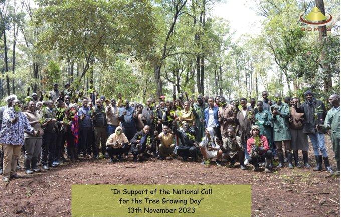 500 indigenous seedlings.