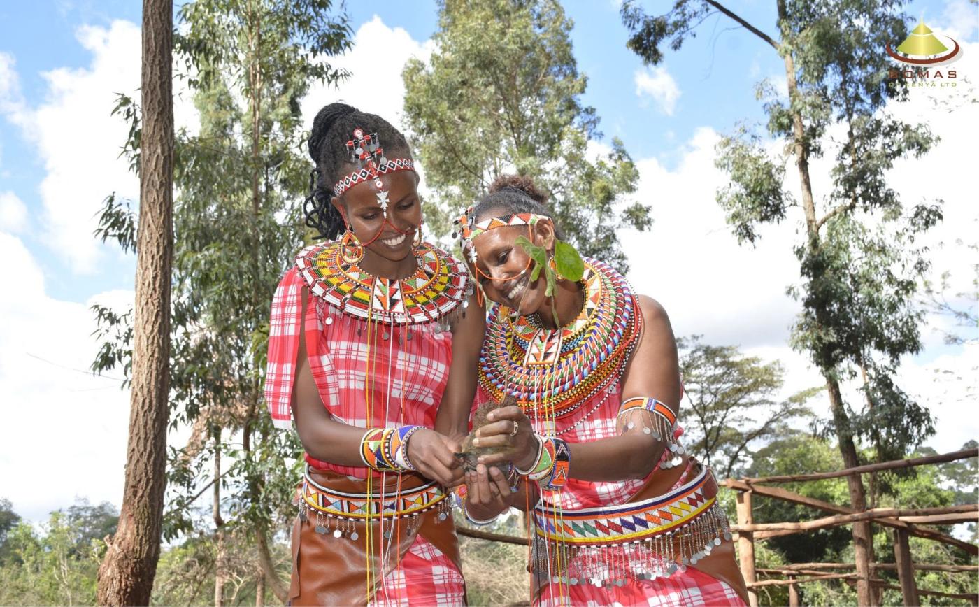 Towards 15 Billion Trees by 2032.