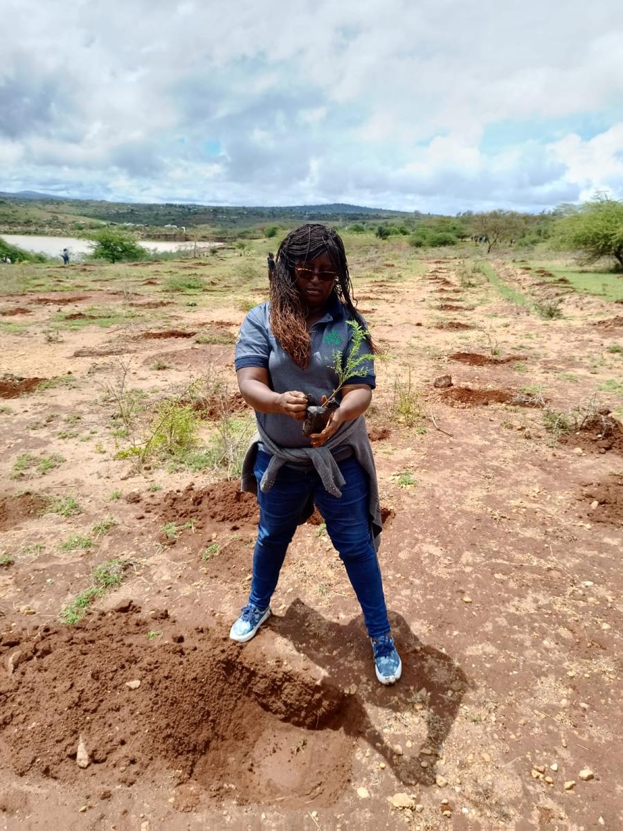 ree planting at the Maruba dam, Machakos county. 10,000 seedlings were planted around the dam. This was one of the sites besides the Muumandu forest which was the main site for Machakos county.