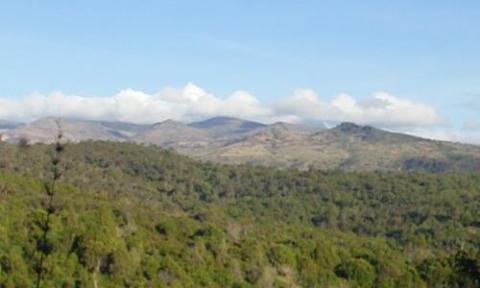 Mt. Elgon Source KWS Mt. Elgon Source KWS