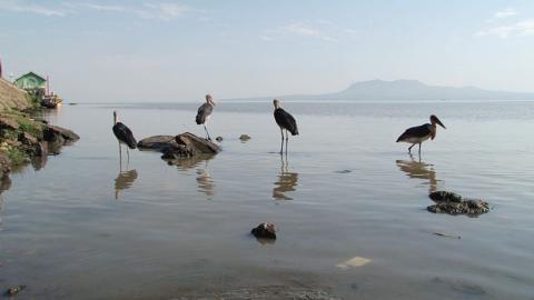 lake Nakuru lake Nakuru