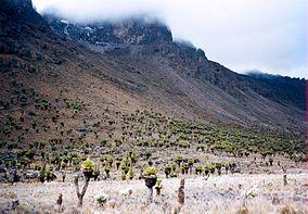 source KWS Website Mt. Kenya