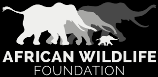 African Wildlife Foundation African Wildlife Foundation