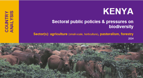 Sectoral public policies & pressures on biodiversity Sectoral public policies & pressures on biodiversity