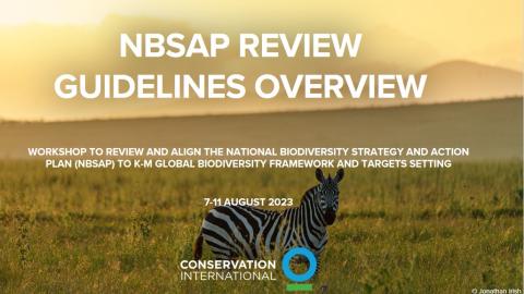 NBSAP REVIEW GUIDELINES NBSAP REVIEW GUIDELINES