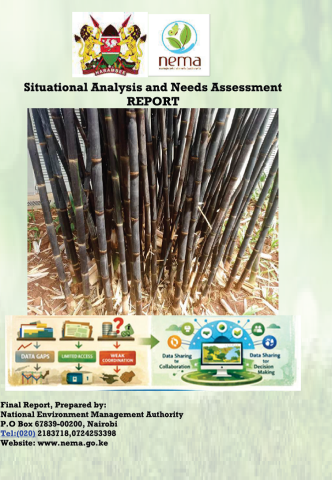 Situation analysis report
