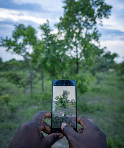 Kenya Landscape and Ecosystem Restoration Monitoring Framework