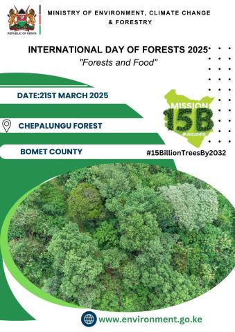 International Day of Forests 2025
