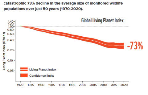 Global planet index