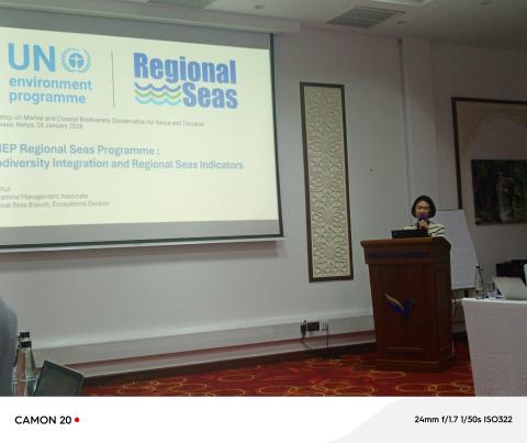UNEP/Regional Seas Branch (UNEP/RSB), Sora Yun
