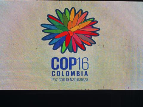 Columbia Launches COP16 Logo | Kenya Biodiversity