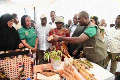bamboo products