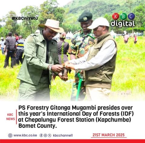 Kenya has emerged as a continental leader in ecosystem restoration through its ambitious #15BillionTrees 