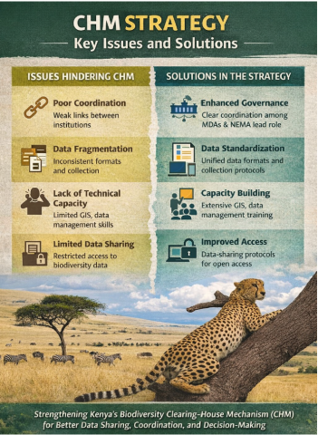 Development of National Biodiversity CHM Strategy