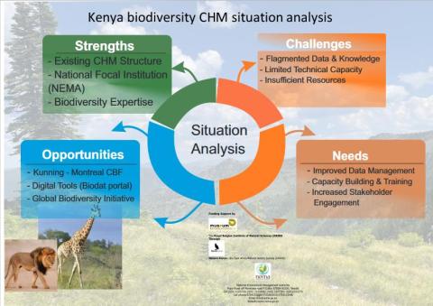 Kenya Advances Development of National Biodiversity CHM Strategy