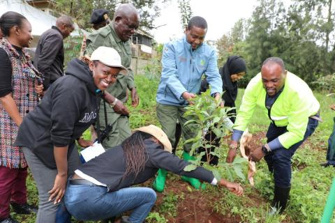 Launch of wetlands restoration in Nairobi