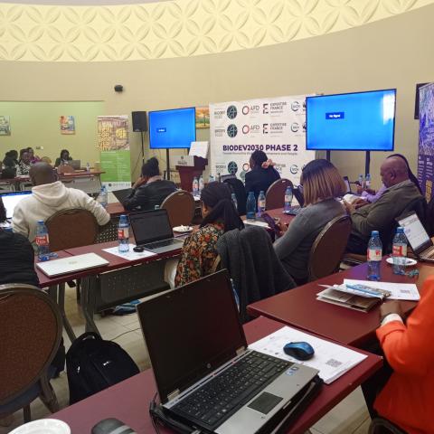 Finalizing National Biodiversity Targets Finalizing National Biodiversity Targets