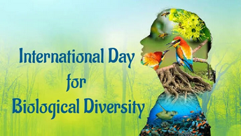 International Day for Biological Diversity (22 May 2026)
