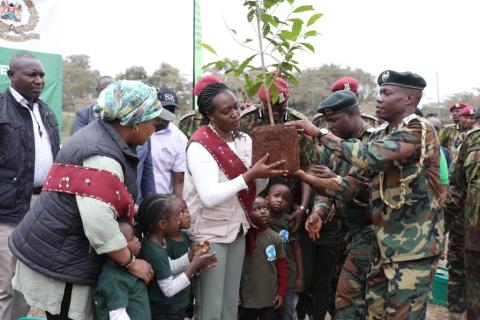 tree planting
