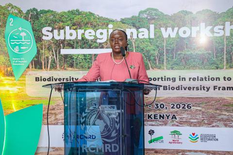 Regional Centre for Mapping of Resources for Development (RCMRD)