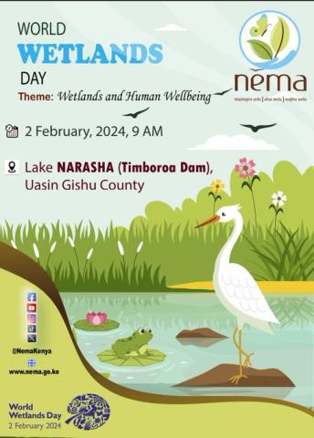 Birds at Lake Narasha (Timboroa Dam) on 28th January 2024 Birds at Lake Narasha (Timboroa Dam) on 28th January 2024