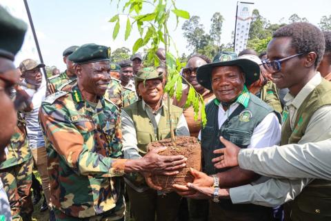 World Rainforest Day 2026