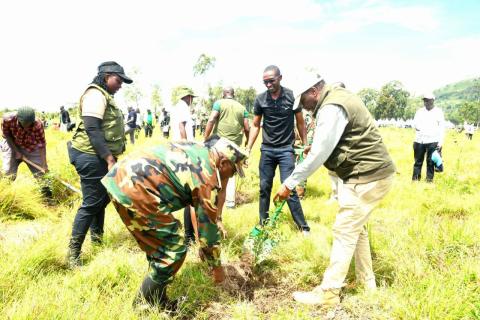 10,000 Trees Planted in Bomet as Kenya Marks International Day of Forests