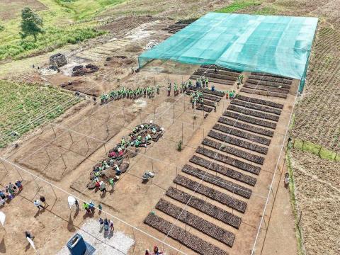 The Mau Forest Complex Integrated Conservation and Livelihood Improvement Programme