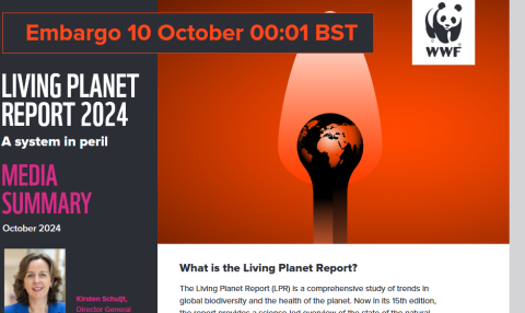 planet planet