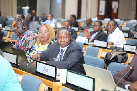 Governmental Negotiating Committee (INC-3) Governmental Negotiating Committee (INC-3)