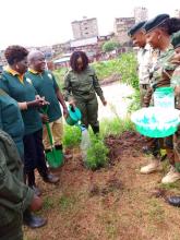 tree planting